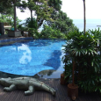 20090704_singapore_bintan_large_378